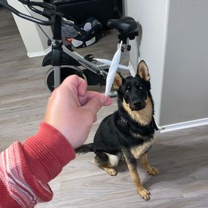 Meet your Posher, Passiaggo